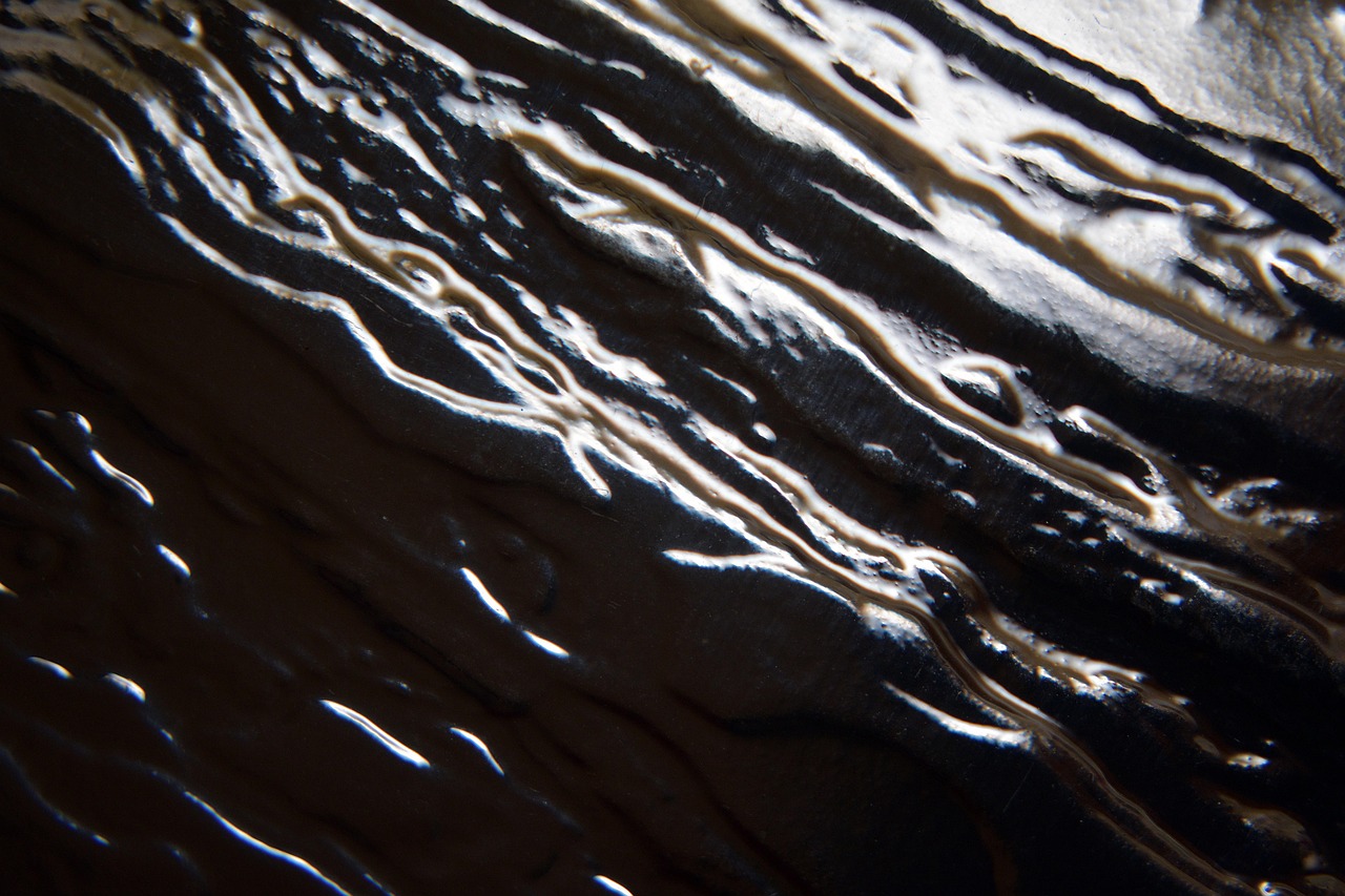 Kodel_Lietuvos_socia