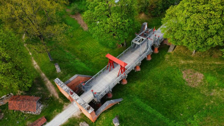 Kodel_Lietuvos_socia